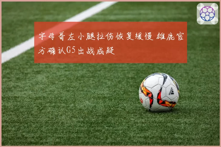 字母哥左小腿拉伤恢复缓慢 雄鹿官方确认G5出战成疑