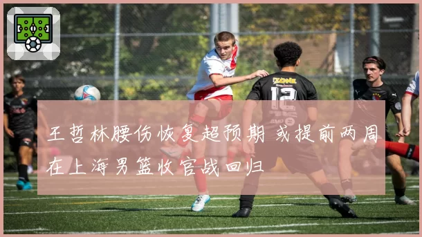 王哲林腰伤恢复超预期 或提前两周在上海男篮收官战回归