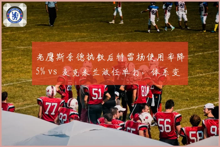 老鹰斯奈德执教后特雷杨使用率降5% vs 麦克米兰放任单打，体系变革成效显著__br_