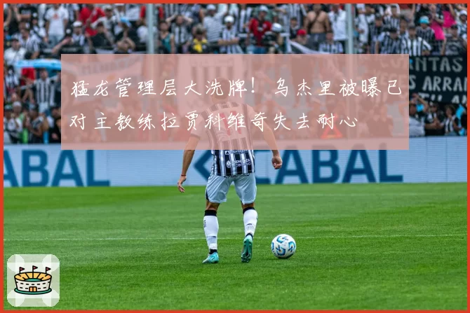 猛龙管理层大洗牌!乌杰里被曝已对主教练拉贾科维奇失去耐心