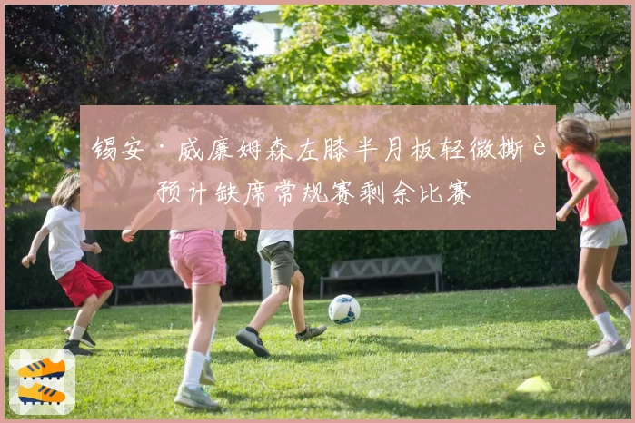 锡安·威廉姆森左膝半月板轻微撕裂 预计缺席常规赛剩余比赛