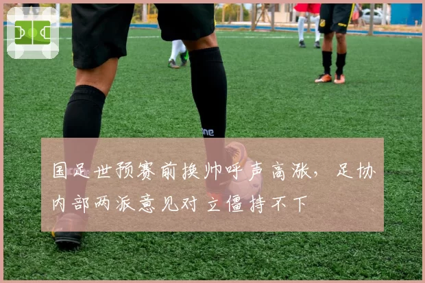 国足世预赛前换帅呼声高涨，足协内部两派意见对立僵持不下