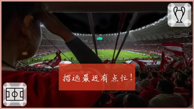 招远最近有点忙!